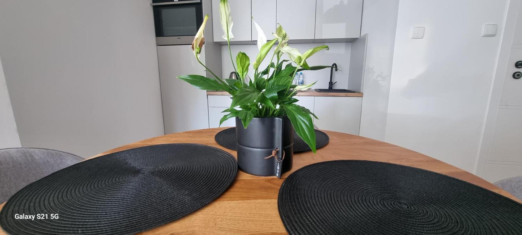 Apartament Moje Dabrowno Esterno foto