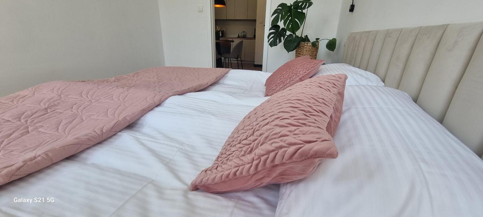 Apartament Moje Dabrowno Esterno foto
